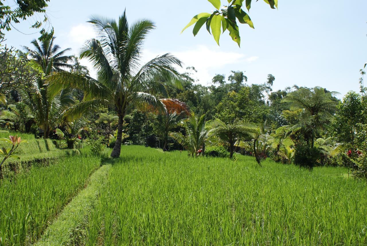 Prana Dewi Mountain Resort จาตีลูวีห์ ภายนอก รูปภาพ