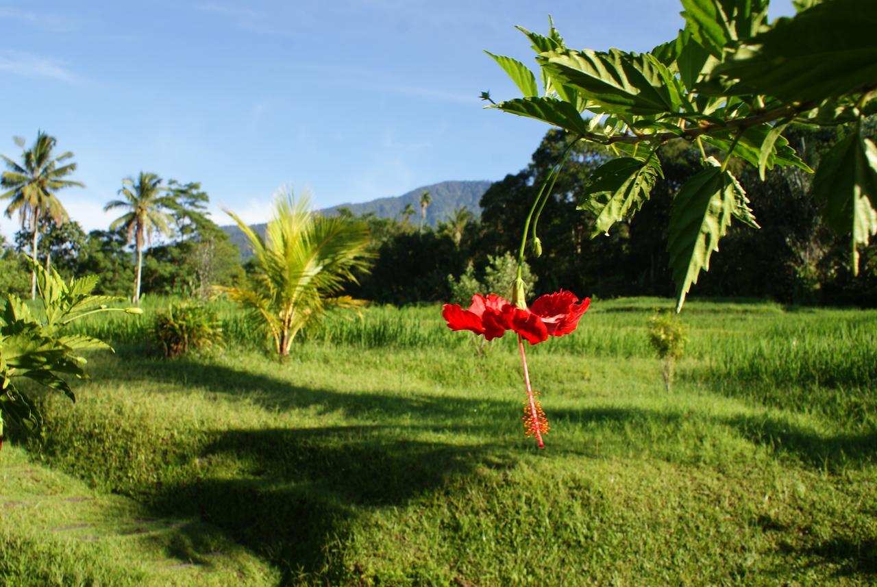 Prana Dewi Mountain Resort จาตีลูวีห์ ภายนอก รูปภาพ