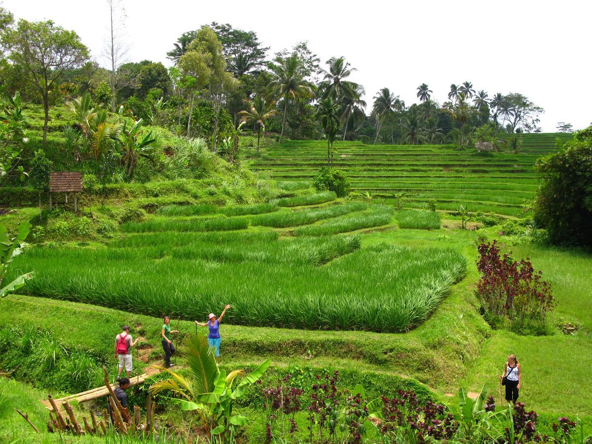 Prana Dewi Mountain Resort จาตีลูวีห์ ภายนอก รูปภาพ