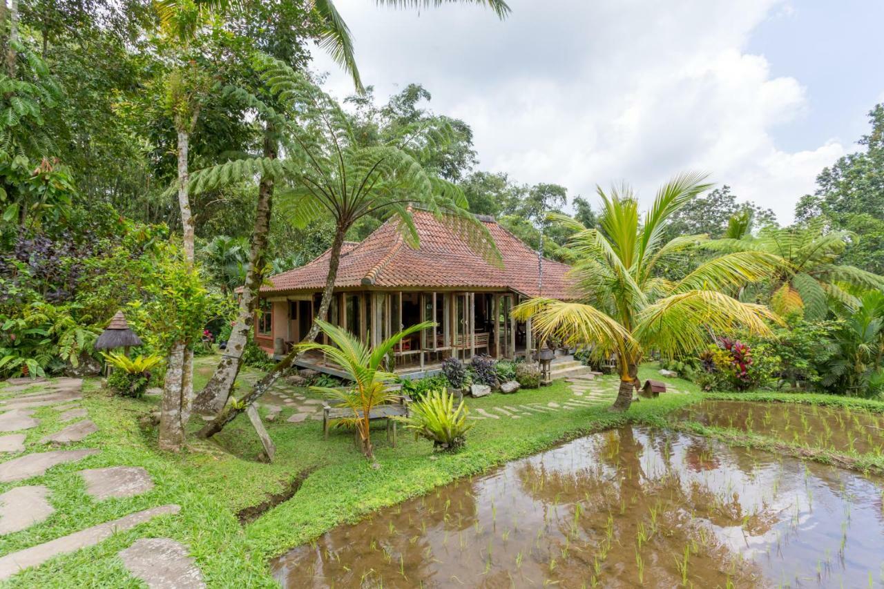 Prana Dewi Mountain Resort จาตีลูวีห์ ภายนอก รูปภาพ