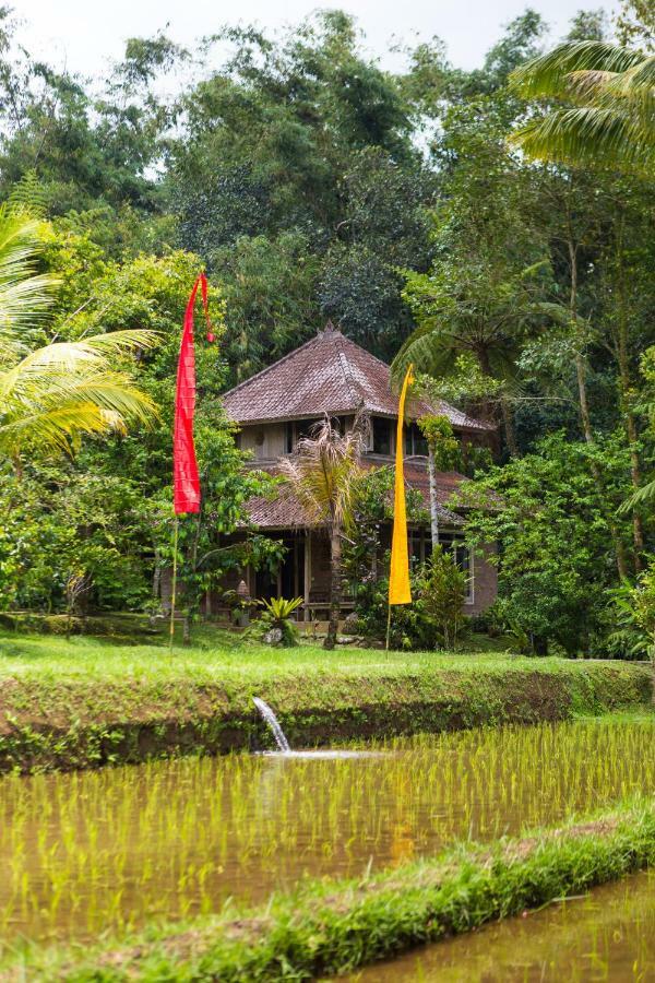 Prana Dewi Mountain Resort จาตีลูวีห์ ภายนอก รูปภาพ